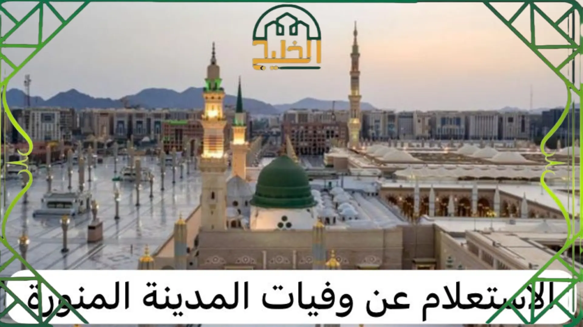 استعلام عن وفيات المدينه