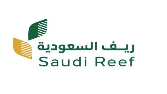طريقة الاستعلام عن دعم ريف 2026 وموعد نزول المبالغ