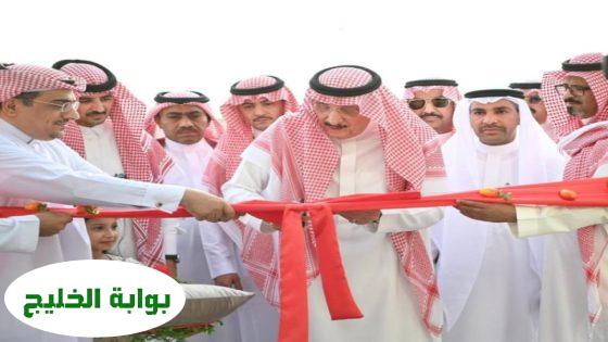 أمير جازان يُطلق النسخة الحادية والعشرين لمهرجان المانجو والفواكه الاستوائية