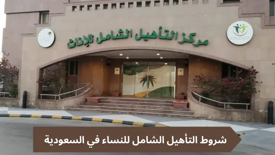 الخدمات الاجتماعية: شروط التأهيل الشامل للنساء وطرق التسجيل في البرنامج
مصطفى فرحات
5 نوفمبر 2024