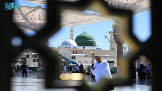 جهود تنظيمية وإرشادية مصاحبة لوصول الحجاج إلى المدينة المنورة