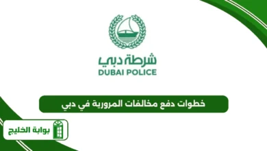 خطوات دفع مخالفات المرورية في دبي