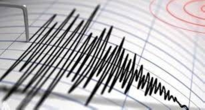 زلزال بقوة 4.9 درجات يهز سواحل نيوزيلندا