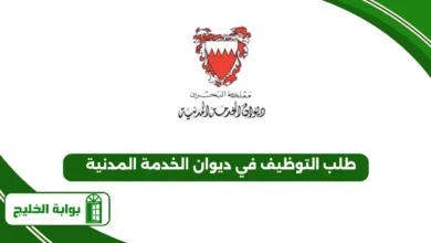 طلب التوظيف في ديوان الخدمة المدنية 