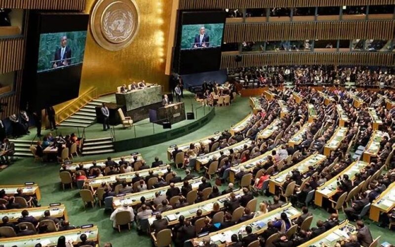 مقررو الأمم المتحدة لحقوق الإنسان يطالبون بتدخل دولي عاجل لوقف الإبادة الجماعية في غزة 2 مقررو الأمم المتحدة لحقوق الإنسان يطالبون بتدخل دولي عاجل لوقف الإبادة الجماعية في غزة