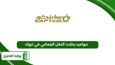 مواعيد رحلات النقل الجماعي في تبوك