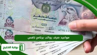 مواعيد صرف رواتب برنامج نافس
