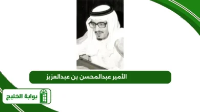الأمير عبدالمحسن بن عبدالعزيز