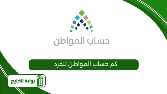 كم حساب المواطن للفرد