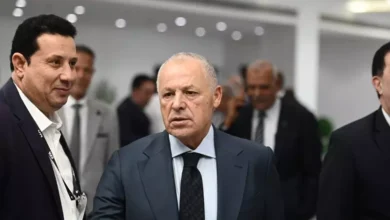 أبوريدة يوضح تفاصيل خلاف حسام حسن وطولان والآثار على رمضان صبحي