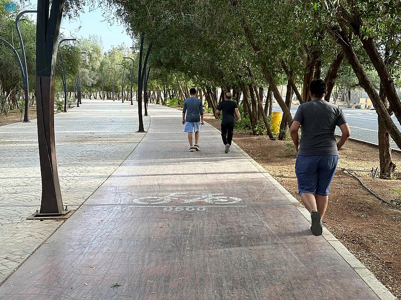 أثر ممارسة المشي على صحة الدماغ والوقاية من الزهايمر