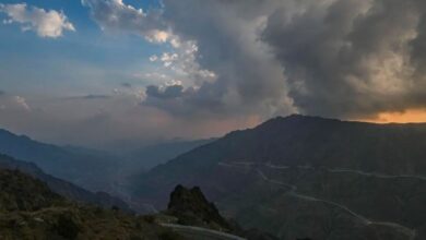 أمطار الخير: توثيق لحظات الطبيعة الساحرة في الباحة