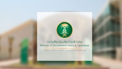 إجراءات تفتيش الأغذية غير الصالحة للاستهلاك في جازان