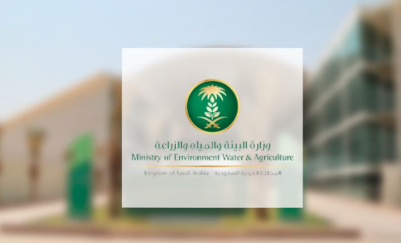 إجراءات تفتيش الأغذية غير الصالحة للاستهلاك في جازان