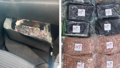 إحباط تهريب مخدرات في لبنان بالتعاون مع السعودية