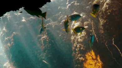 إدراج الثقوب الزرقاء ورأس حاطبة كمحميات وطنية سعودية: أهمية وحماية البيئة البحرية