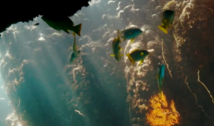 إدراج الثقوب الزرقاء ورأس حاطبة كمحميات وطنية سعودية: أهمية وحماية البيئة البحرية