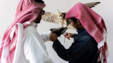 إقبال متزايد على تسجيل ملكية الصقور في بطولات كأس نادي الصقور 2025