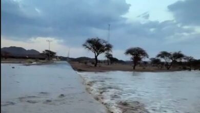 إنقاذ شخصين عالقين في تجمعات مياه وادي القناة بالمدينة المنورة