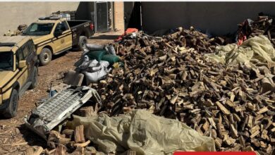 استراتيجيات فعالة لتخزين الحطب المحلي في الرياض