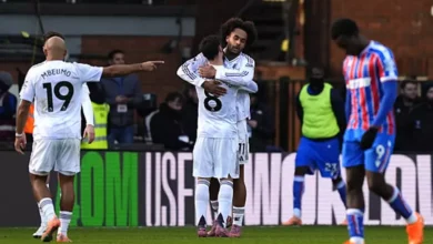 استعادة زيركزي لذكريات التسجيل في الدوري الإنجليزي بعد عام كامل