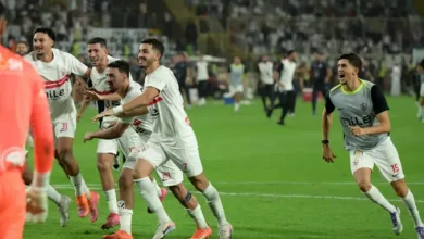 استكشاف أدغال أفريقيا: تحليل متعمق لثقافات الفطرة والطبيعة