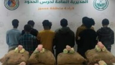 الإجراءات الأمنية ضد تهريب المخدرات: القبض على 10 إثيوبيين بحوزتهم 180 كيلوجرامًا من القات