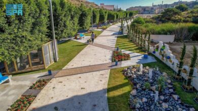 الابتكارفي إدارة المساحات العامة: كيف يغير الذكاء الاصطناعي حماية الحدائق والساحات!