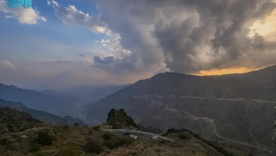 الباحة: سحر السحب الرعدية وتأثيرها على المناظر الطبيعية