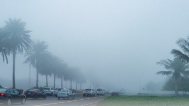 التأثيرات المناخية على حركة المرور في القريات وطبرجل خلال أحوال الضباب