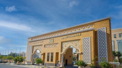 التشجير في ظل قوانين البناء: مواجهة البيئة لتحديات النظام العمراني