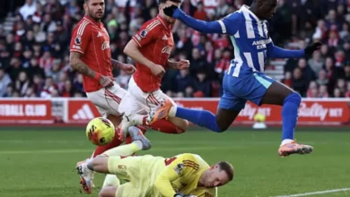 الدوري الإنجليزي: برايتون يحقق انتصاراً هاماً على نوتنجهام فورست
