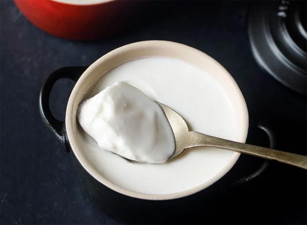 الزبادي اليوناني والعادي: تحليل علمي للمزايا والاختلافات الفعلية