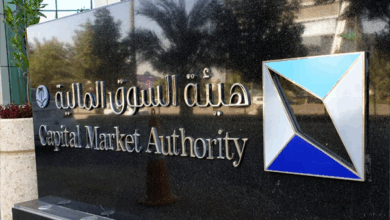 السوق المالية: تحليل تأثير دعوى المستثمرين الجماعية على الشركات المساهمة