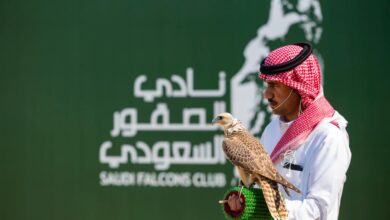 الصقور الملكية: اليوم الخامس في كأس 2025 بتنافس 329 صقرًا