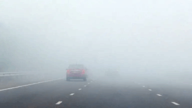 الظواهر الجوية: تأثير الضباب على المدن الشمالية القريات وطبرجل