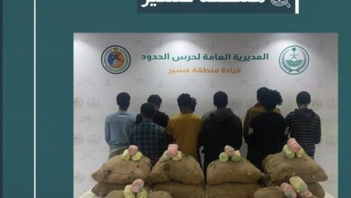 العمليات الأمنية تكشف عن شبكة تهريب قات في عسير