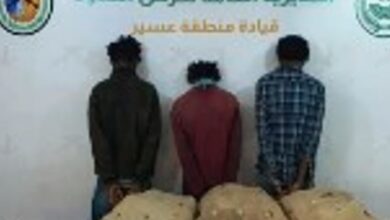 القبض على عصابة تهريب المخدرات في عسير: تفاصيل استهداف 45 كيلوجرامًا من القات الإثيوبي