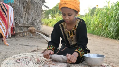 المطحنة التقليدية: تراث وصوت ريف جازان الأصيل