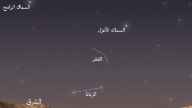 اليوم دخول طالع "الغفر": بداية المنازل اليمنية وثالث نجوم الوسم