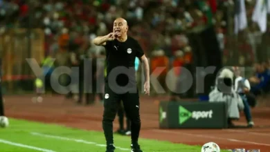 انتقادات حسام حسن: تأثير وسائل التواصل الاجتماعي على منتخب مصر
