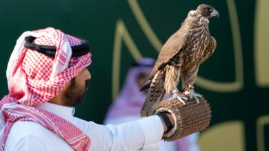 انطلاق كأس نادي الصقور السعودي 2025: تتويج 60 صقارًا في الخبر