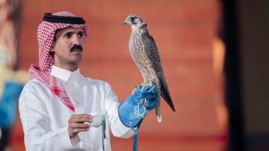 بيع طائر الشاهين في مزاد نادي الصقور: 351 ألف ريال في الليلة الـ 25