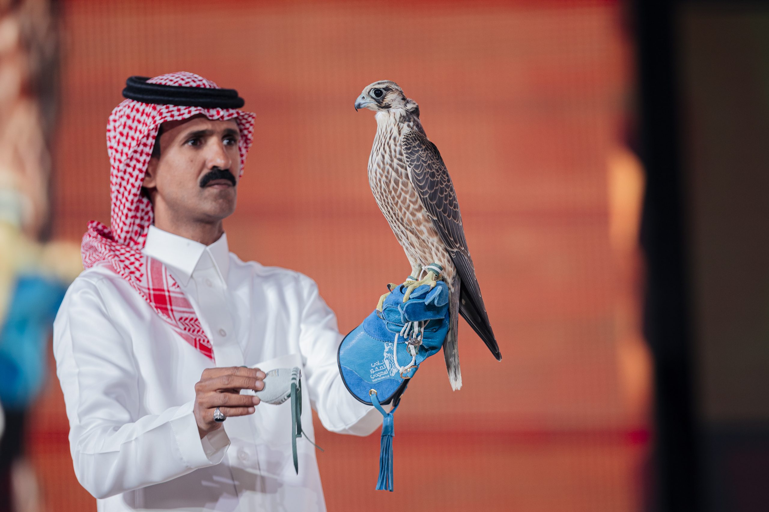 بيع طائر الشاهين في مزاد نادي الصقور: 351 ألف ريال في الليلة الـ 25