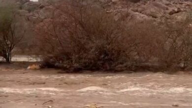 تأثير الأمطار الغزيرة على الأحياء الجنوبية في مكة المكرمة