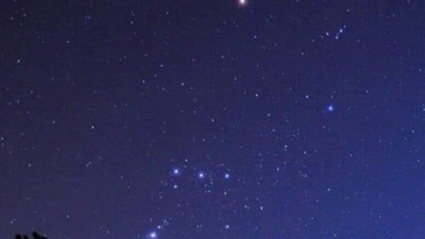 تأثير وسم الجوزاء على النباتات في المناطق الشمالية