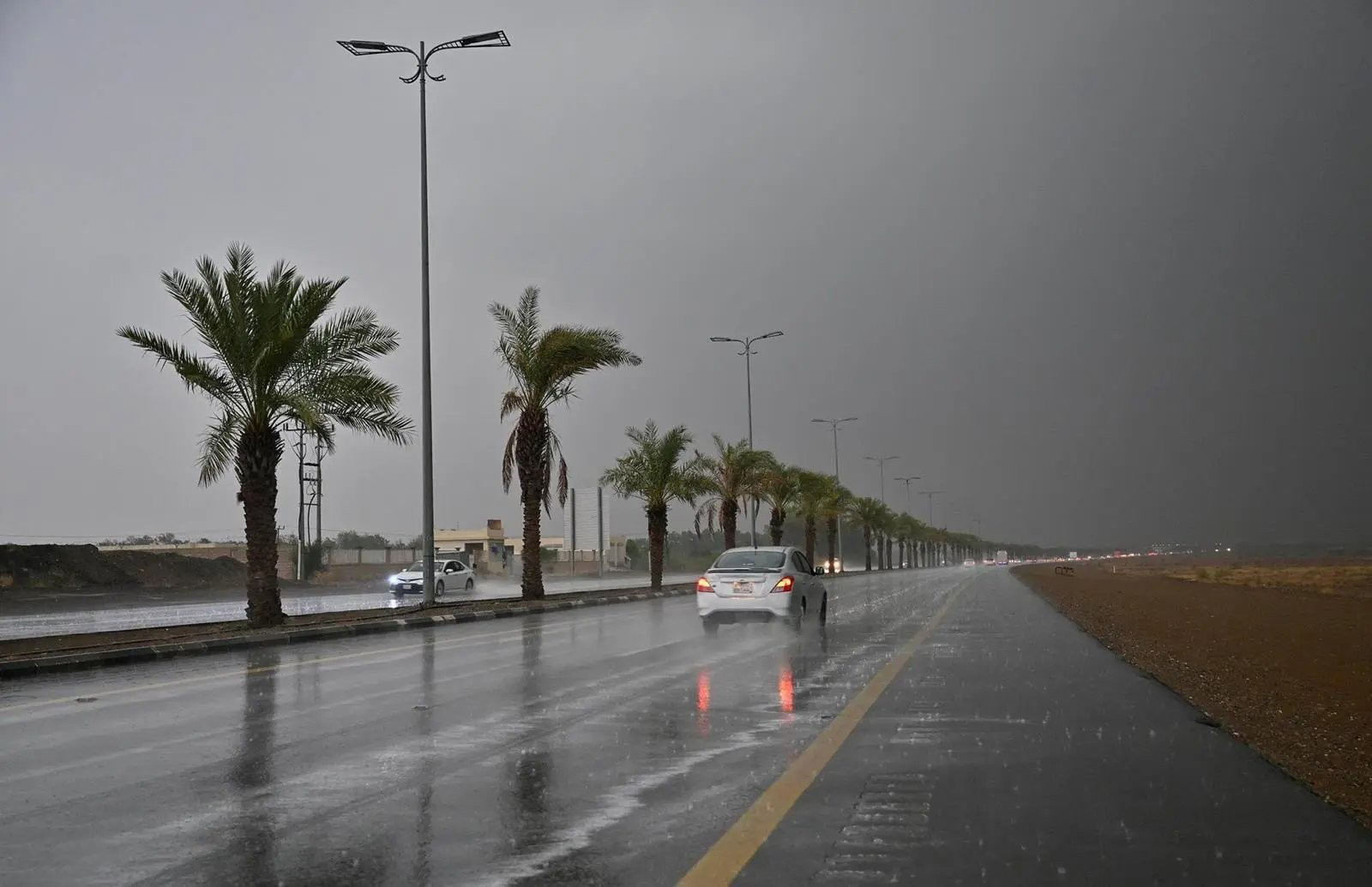 تأثيرات الأمطار الغزيرة على البيئة في منطقة جازان