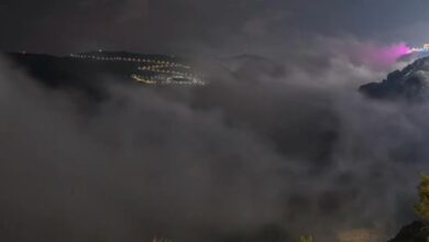 تأملات في جمال الضباب الكثيف: لقطات من الباحة