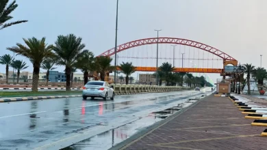 تحذيرات من أمطار رعدية تؤثر على معظم المناطق بدءًا من الغد