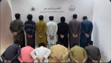 تحقيقات أمنية تكشف شبكة سرقة المواشي في الطائف